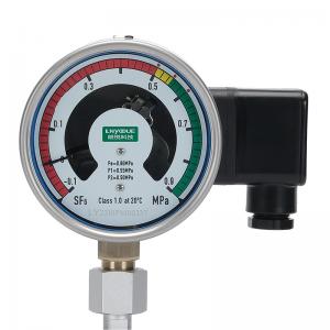 SF6氣體密度繼電器LY-100PM型